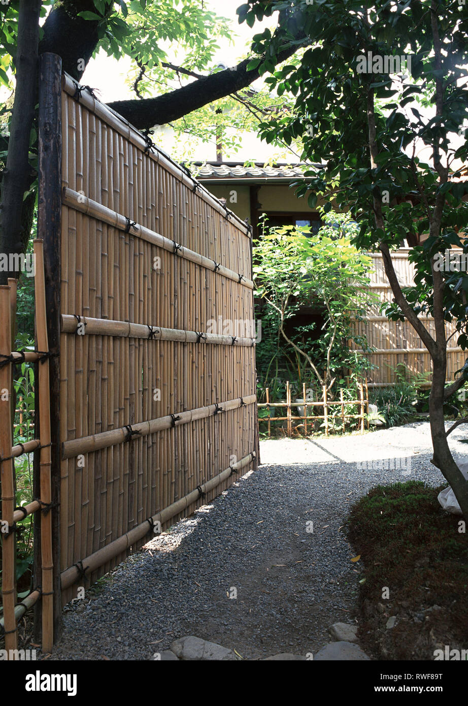 Japanische Bambus Im Garten Mit Baumen Und Pflanzen Stockfoto