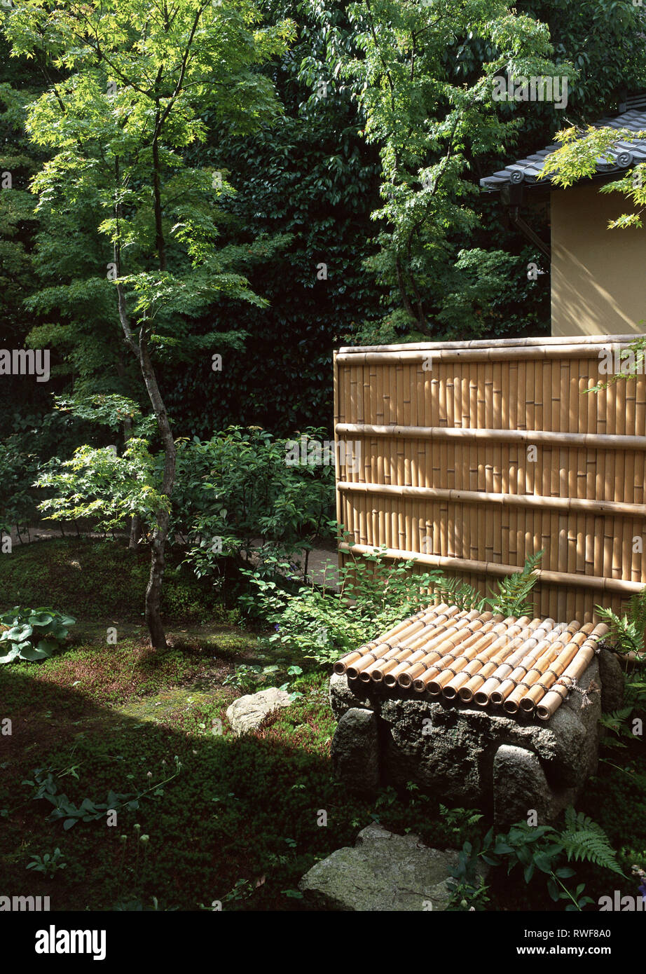 Japanische Bambus Im Garten Mit Baumen Und Pflanzen Stockfoto