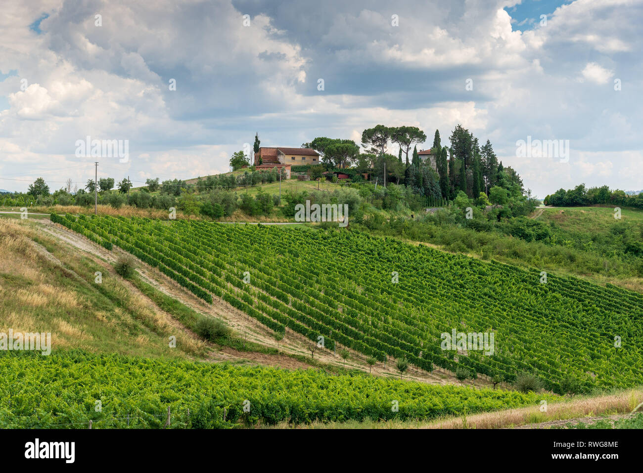 CERALDO, Toskana/Italien, 20. JUNI 2018: Weinberge und Olivenhaine in der italienischen Toskana Provinz. Stockfoto