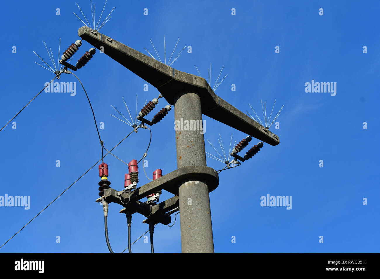 Getriebe Turm mit Verteilerbleche große Vögel von hier aus die Landung zu verhindern und damit einer meist tödlichen Stromschlag erleiden. Bayern, Deutschland Stockfoto