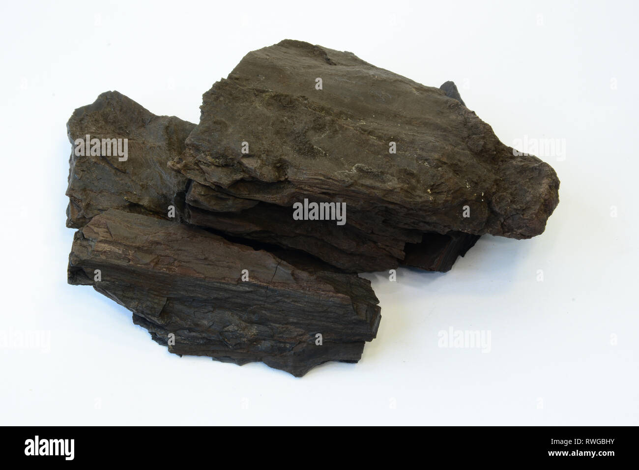 Braunkohle oder Braunkohle. Stück mit schwach erkennbaren Holzstruktur. Deutschland Stockfoto