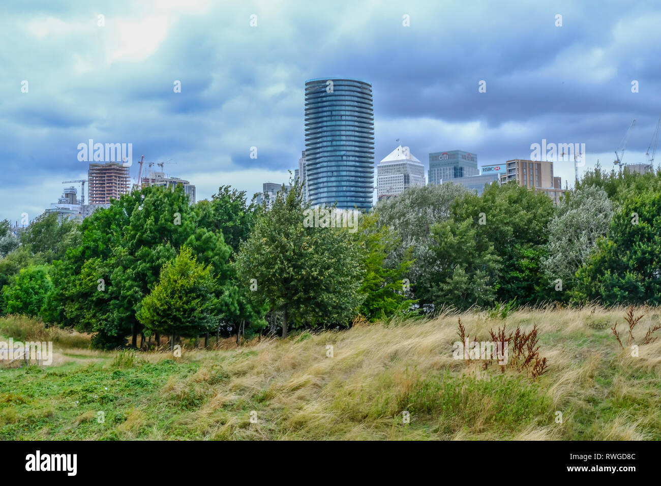 Schlamm Rutsche Park, London, Großbritannien - 18 August, 2018: Blick vom Schlamm rutsche Farm in Richtung Canary Wharf suchen. mit langen wildes Gras und Bäume im Vordergrund. Stockfoto