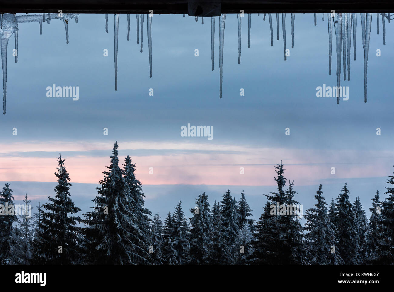 Tropfender Frost Stockfotos und -bilder Kaufen - Alamy