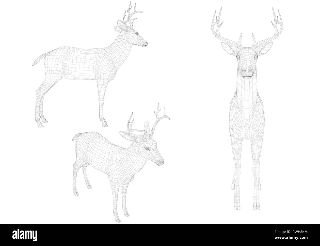 Set mit Drahtmodell Hirsch von schwarzen Linien auf einem weißen Hintergrund. Seiten, Vorder- und isometrische Ansicht. 3D. Vector Illustration Stock Vektor