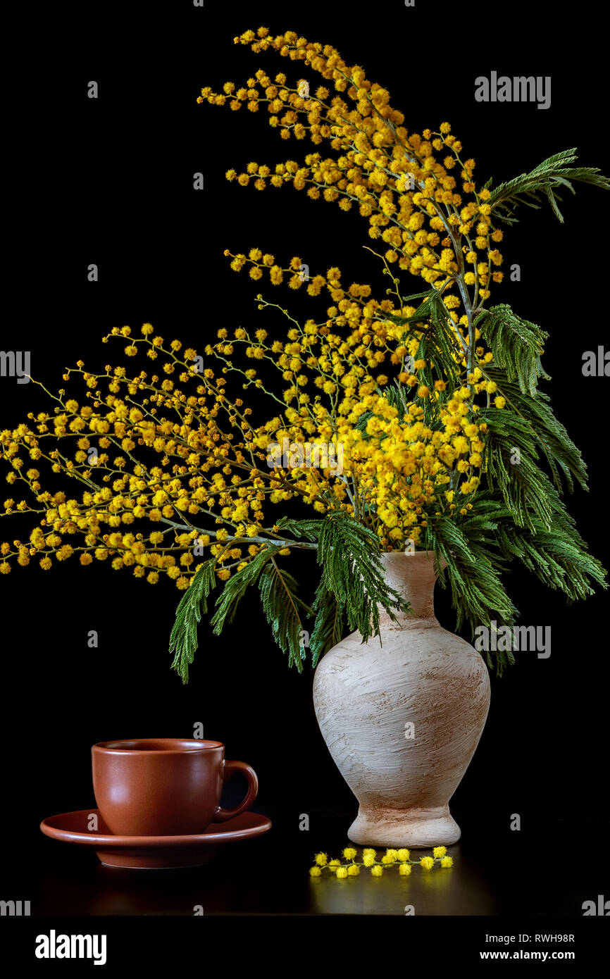 Gelben Mimosen, Blumen in einer Vase aus Keramik auf einem Schwarzen Tisch Stockfoto