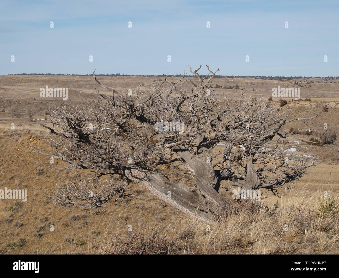Ende des Lebenszyklus Stockfoto