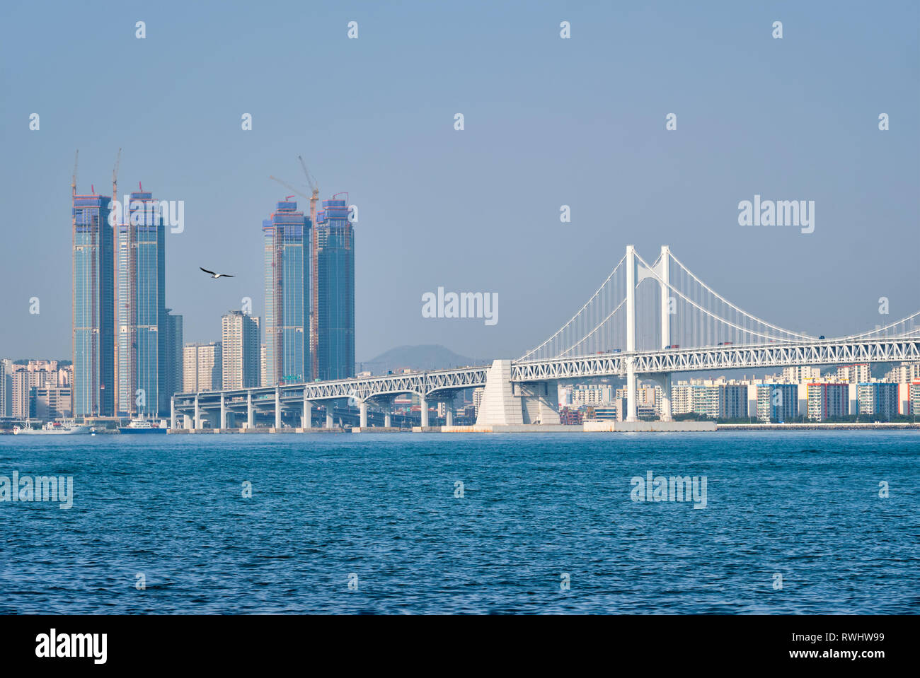 Gwangan Brücke und Wolkenkratzer in Busan, Südkorea Stockfoto