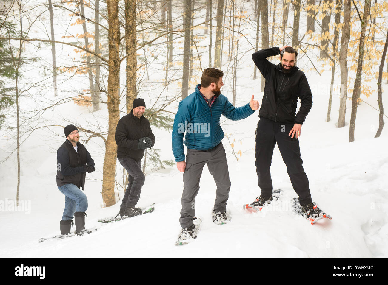 Eine Gruppe von Freunden (alle Ende 30) Schneeschuhwandern durch den Wald im Winter. Mont Tremblant, Quebec, Kanada Stockfoto