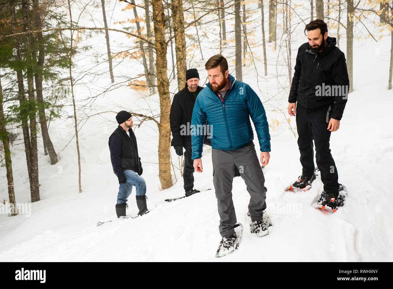 Eine Gruppe von Freunden (alle Ende 30) Schneeschuhwandern durch den Wald im Winter. Mont Tremblant, Quebec, Kanada Stockfoto