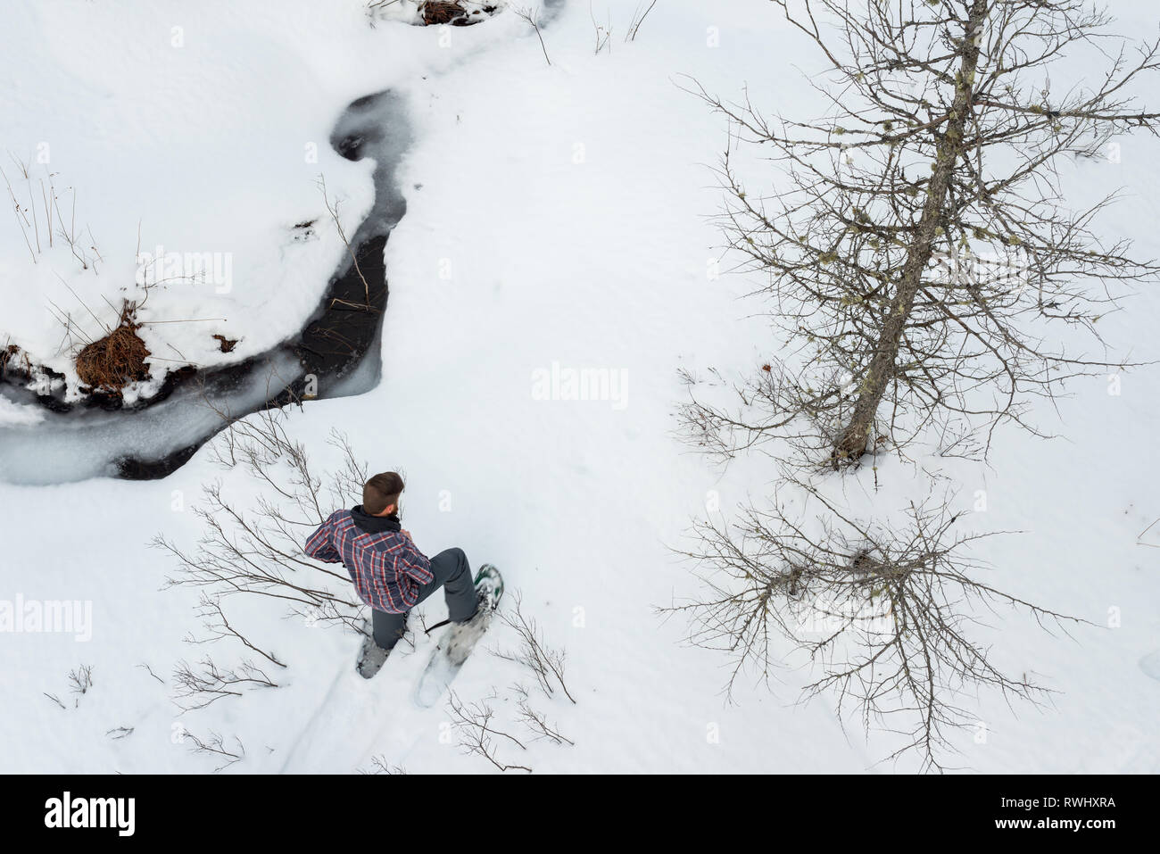 Mann allein Schneeschuhwandern entlang einem Bach im Winter. Mont Tremblant, Quebec, Kanada Stockfoto