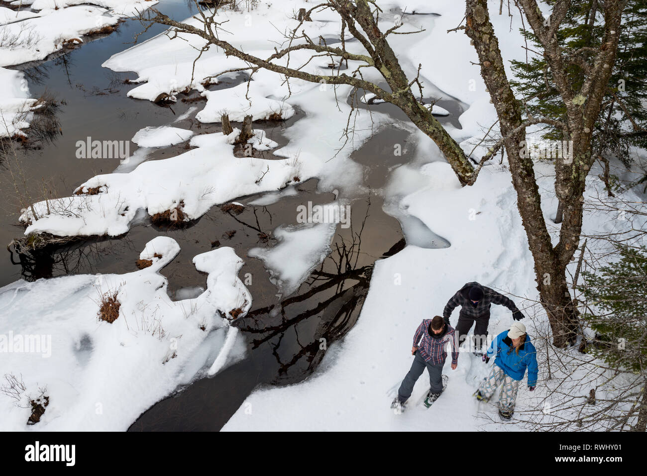 Eine Gruppe von Freunden (alle Ende 30) Schneeschuhwandern entlang einem Bach im Winter. Mont Tremblant, Quebec, Kanada Stockfoto
