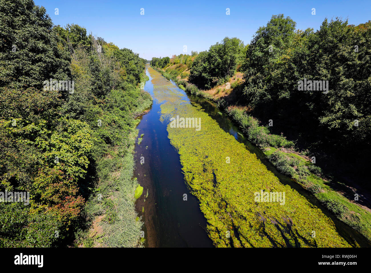 Dortmund, Ruhrgebiet, Nordrhein-Westfalen, Deutschland - Fluss Emscher, Renaturiert in Dortmund-Deusen. Der ökologische Umbau der Emscher Syste Stockfoto