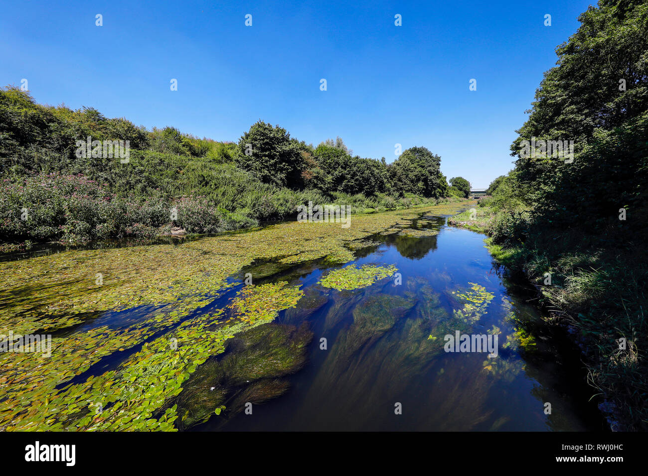 Dortmund, Ruhrgebiet, Nordrhein-Westfalen, Deutschland - Fluss Emscher, Renaturiert in Dortmund-Deusen. Der ökologische Umbau der Emscher Syste Stockfoto