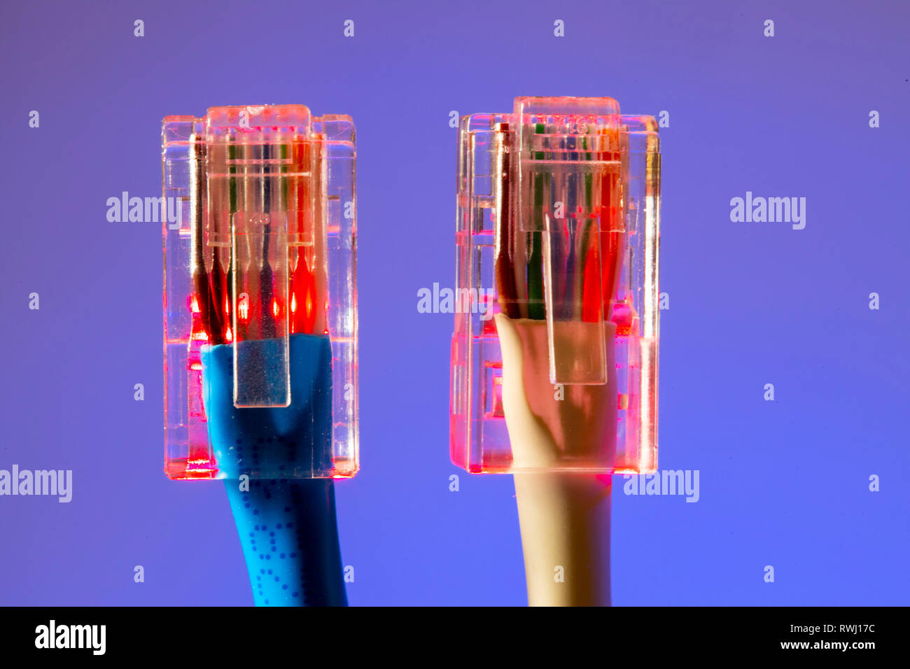 Internet-Anschluss, RJ45-Stecker, LAN-Kabel, Patchkabel, Ethernet, Stockfoto