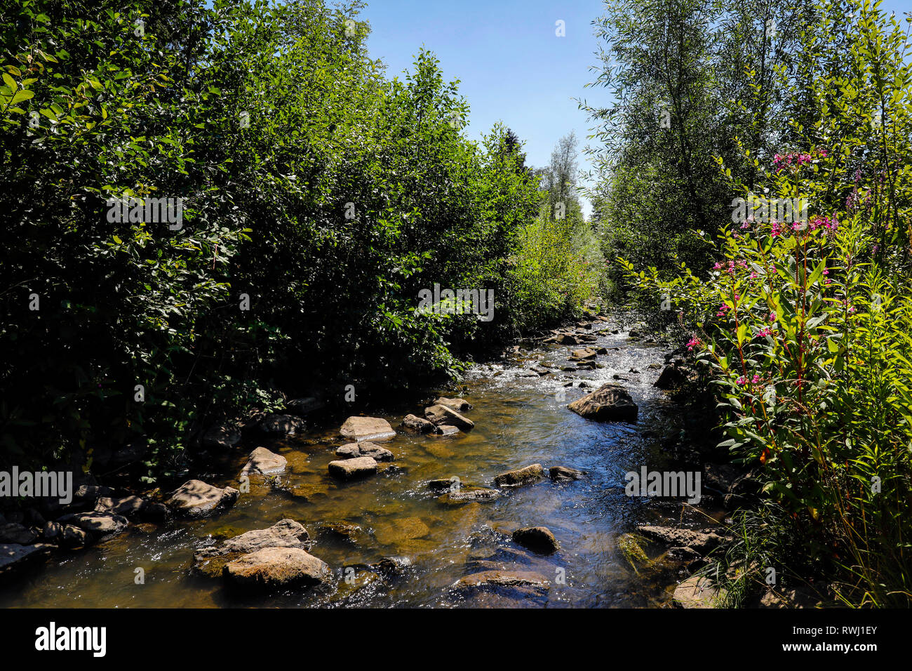 Dortmund, Ruhrgebiet, Nordrhein-Westfalen, Deutschland - Fluss Emscher, Renaturiert in Dortmund-Schoenau. Der ökologische Umbau der Emscher sys Stockfoto