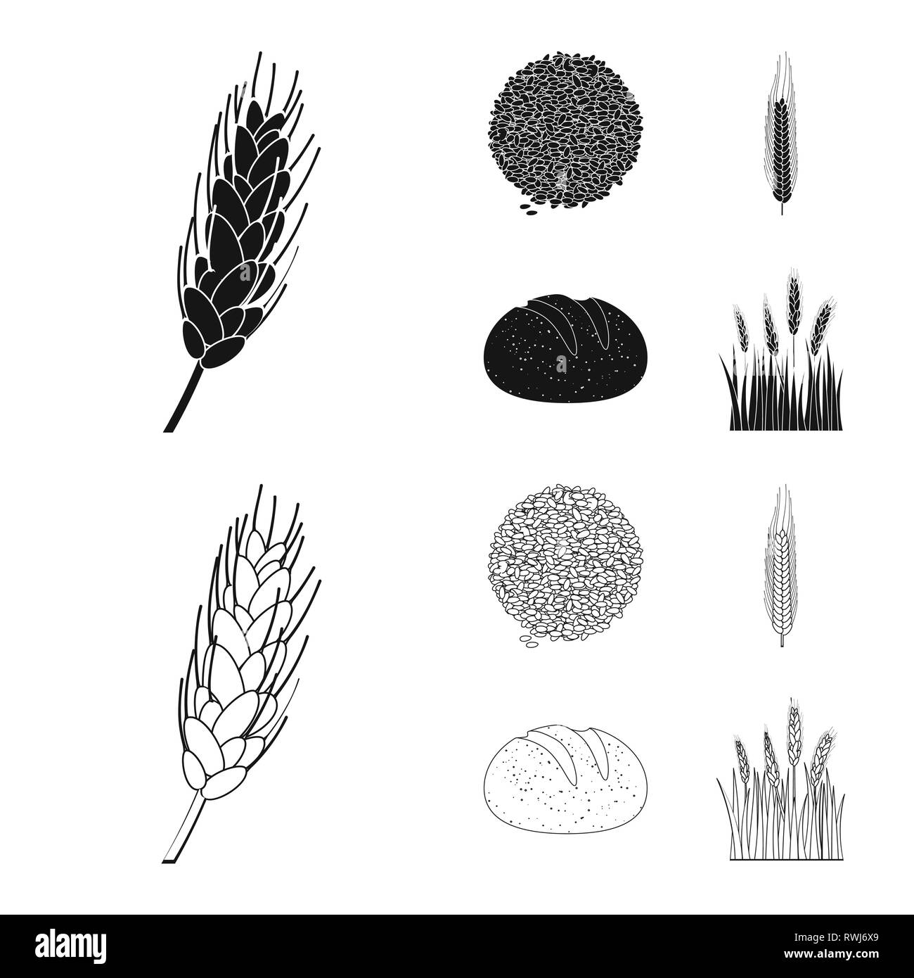 Feder, Brot, Spike, Samen, Winter, Hartweizen, Gerste, Getreide, Mehl, Nahrung, Land, Saatgut, Getreide, Frühstück, Maisfeld, Ohr, bun, Kleie, gesund, auf dem Land, golden, Stroh, Laib, Herbst, ländlichen, Wiese, Snack, Reif, Gold, Hafer, Landwirtschaft, Landwirtschaft, Roggen, Weizen, Mais, Getreide, Ernte, Bauernhof, Feld, Set, Vector, Icon, Illustration, isoliert, Sammlung, Design, Element, Grafik, Vektor, Vektoren, Stock Vektor