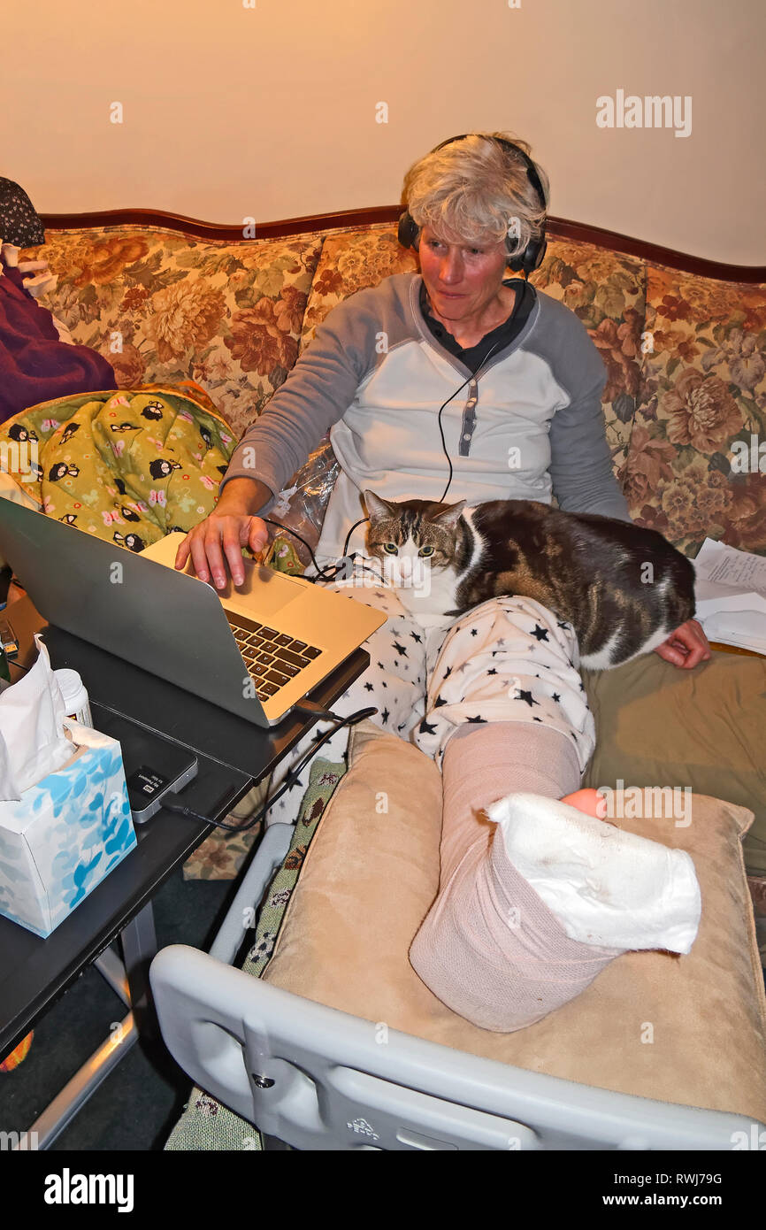 Frau; Arbeiten am Laptop; Bein in Gips; erhöht auf Stuhl; Kissen; Katze auf dem Schoß; Schulprojekt; Kopfhörer; Sofa, sanfte Beleuchtung, vertikal; HERR, Stockfoto