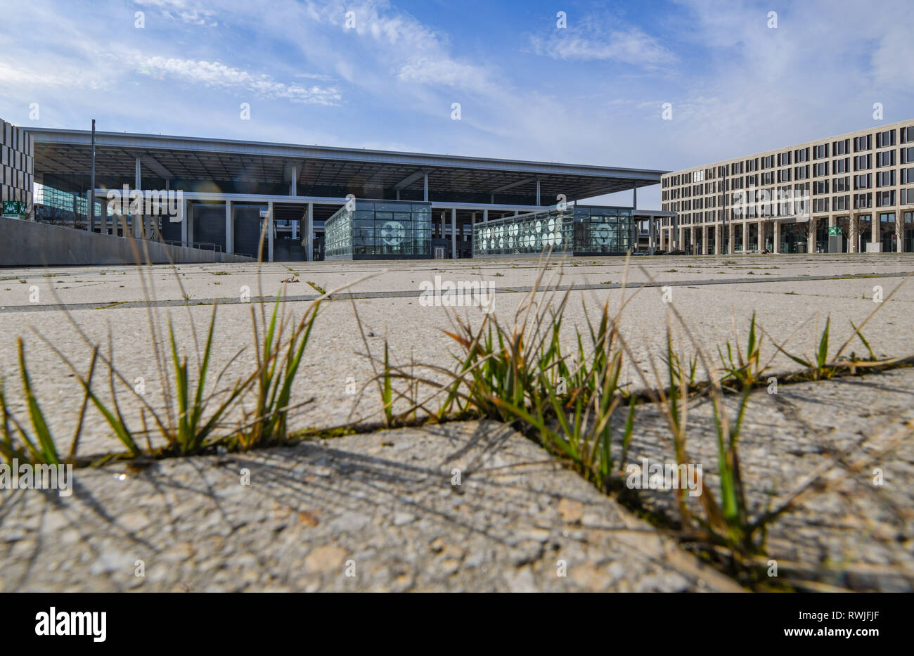 06 März 2019, Brandenburg, Schönefeld: Gras wächst zwischen der Gelenke auf einem Platz vor dem Terminal des Berlin Brandenburg Willy Brandt (BER) Flughafen. Eine Sitzung des Aufsichtsrats der Flughafen Berlin Brandenburg GmbH findet statt am 08.03.2019. Foto: Patrick Pleul/dpa-Zentralbild/dpa Stockfoto