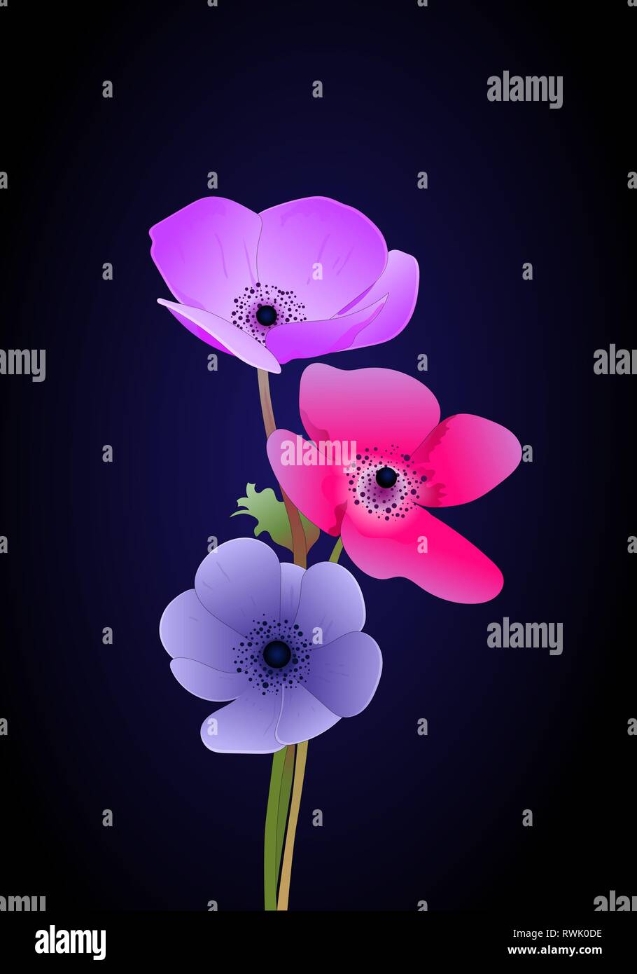 Hand Blumen gezeichnet. Florale Elemente auf schwarzem Hintergrund. Design Rahmen mit Vektor botanische Elemente. Stock Vektor