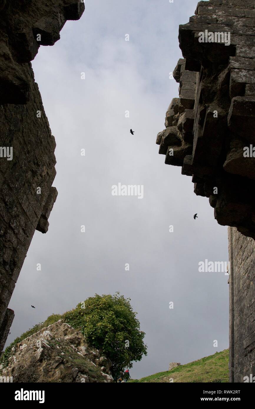 Grau bewölkter Himmel zwischen hohen ruiniert Steinmauern umrahmt. Vögel fliegen in der Lücke, gegen den Himmel Silhouette Stockfoto