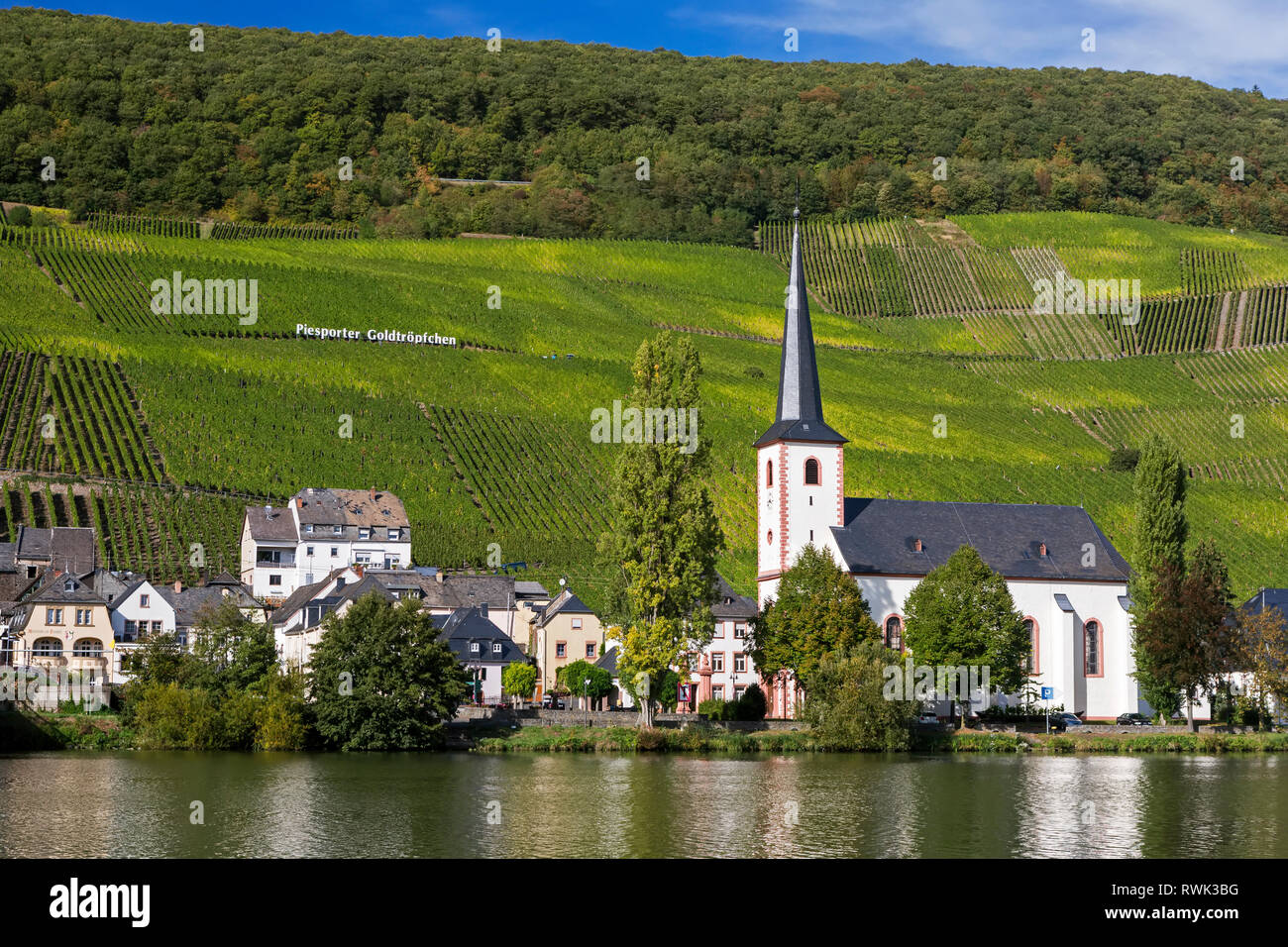 Weiße Kirche und Dorf entlang der Flussufer mit Reihen von Reben auf steilen River Valley bedeckt mit Bäumen auf die Oberseite mit blauen Himmel; Piesport, Deutschland Stockfoto