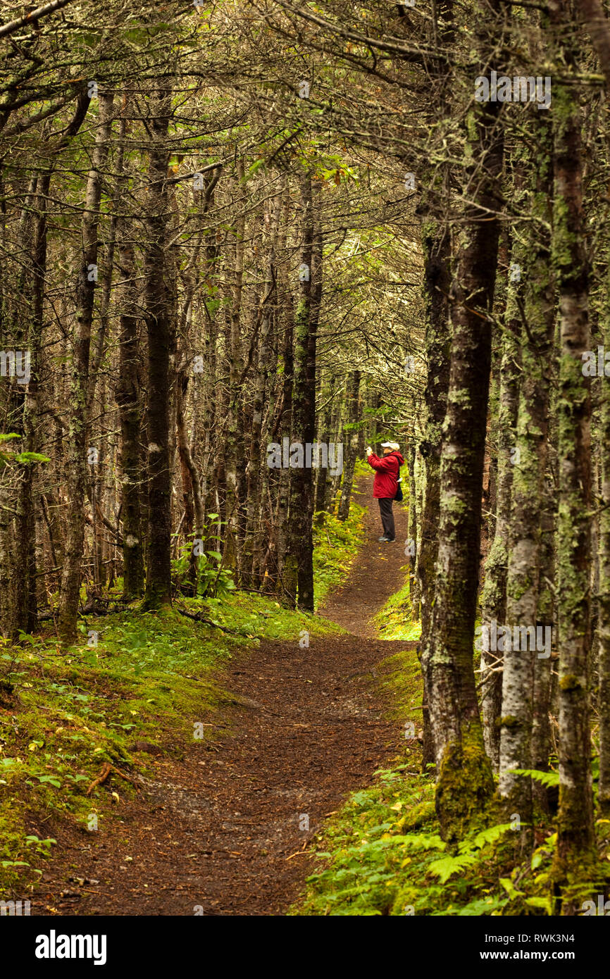 Steve's Trail, ein Waldweg, also durch eine lokale, die es verwendet, um Fischen zu gehen. Der Weg ist an der Besen Punkt Angeln Räumlichkeiten in Gros Morne National Park in der Nähe von Western Brook Pond, westlichen Neufundland, Kanada Stockfoto