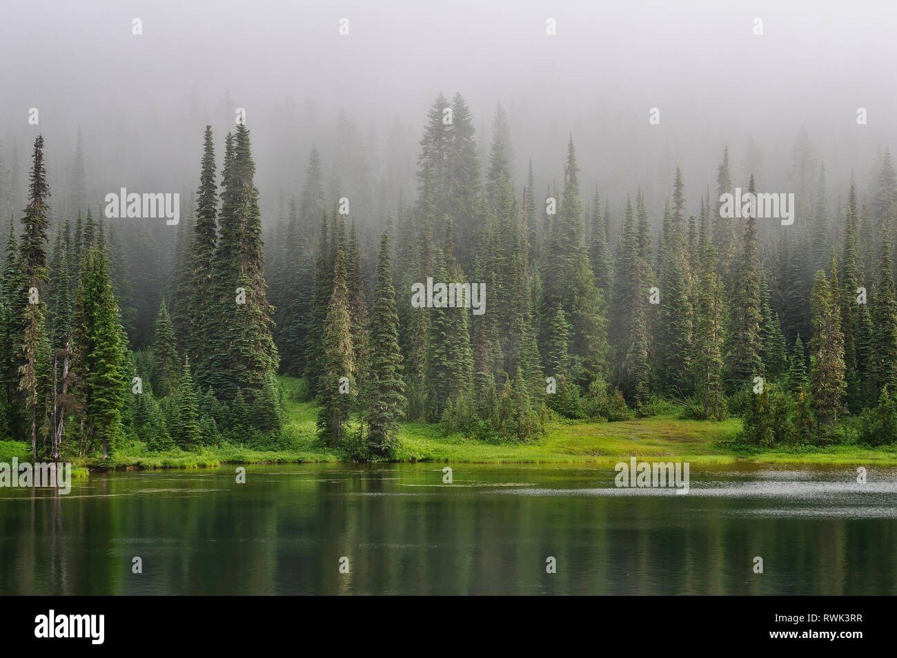 Clearing Nebel über die Reflexion See; Mount Rainier National Park, Washington. Stockfoto