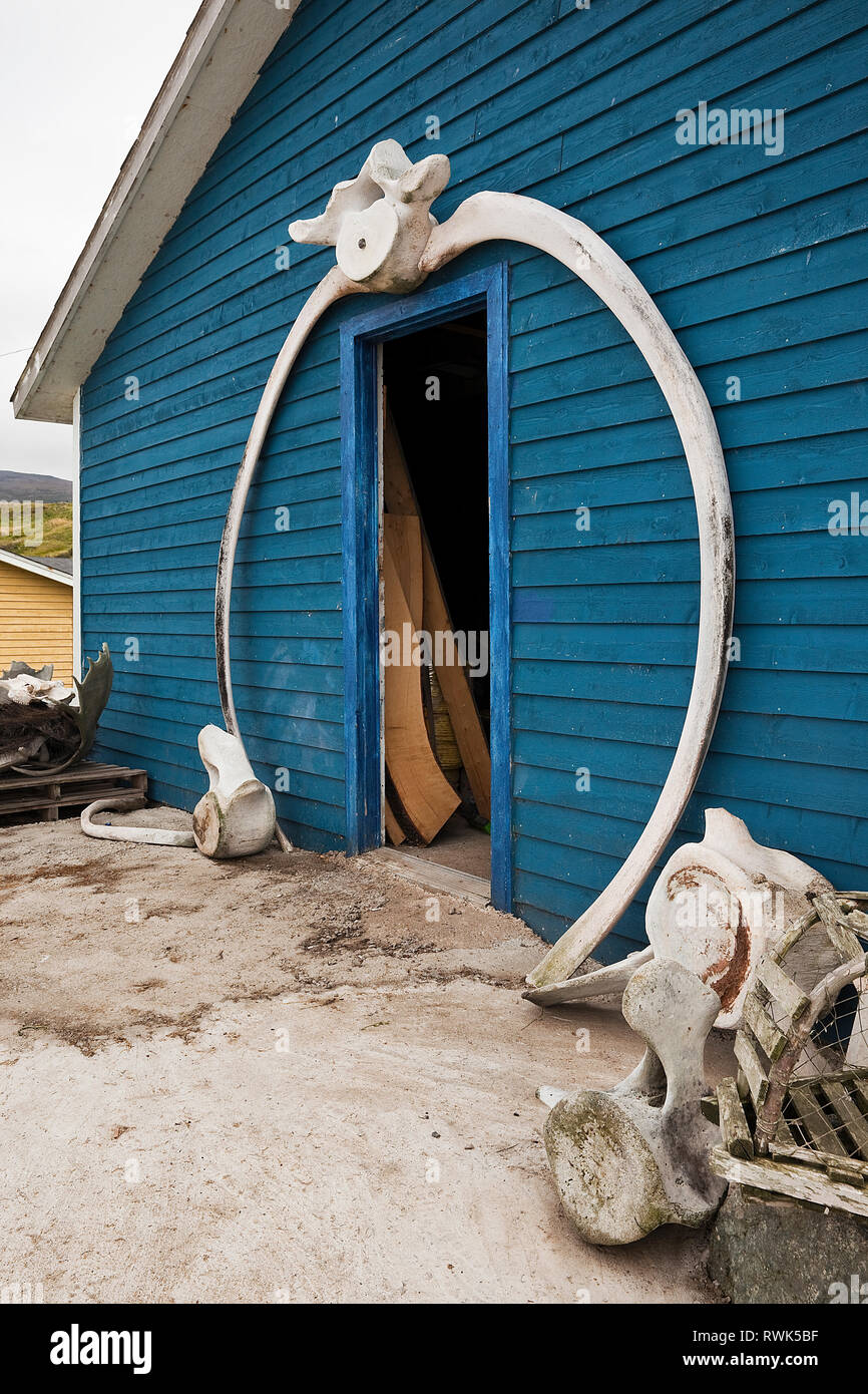 Eingang in einen Schuppen von Wal Rippe Knochen und Wirbel eingerahmt. Trout River, Neufundland, Kanada Stockfoto