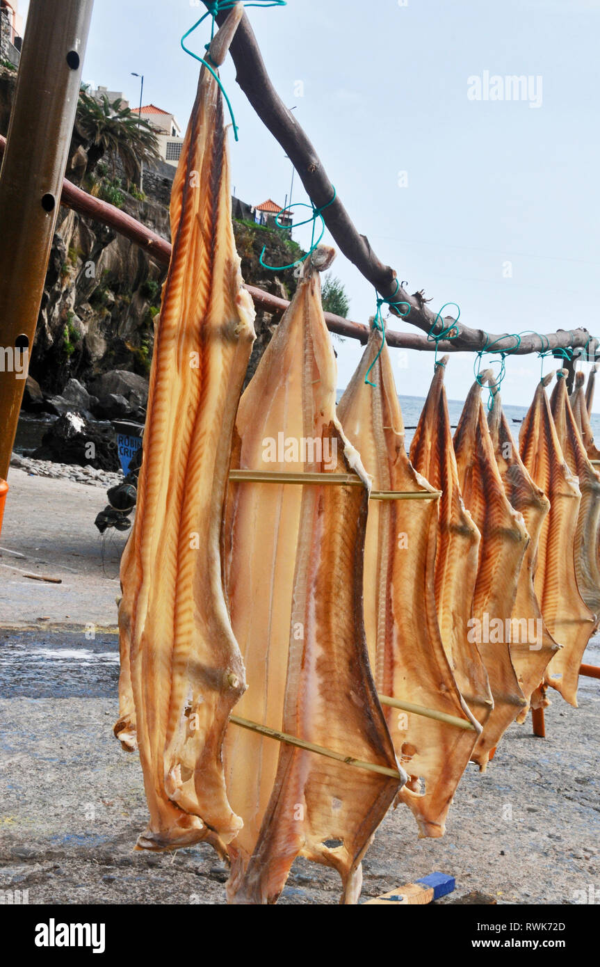 Um Madeira - Trocknung von Fisch bei Camara de Lobos Stockfoto