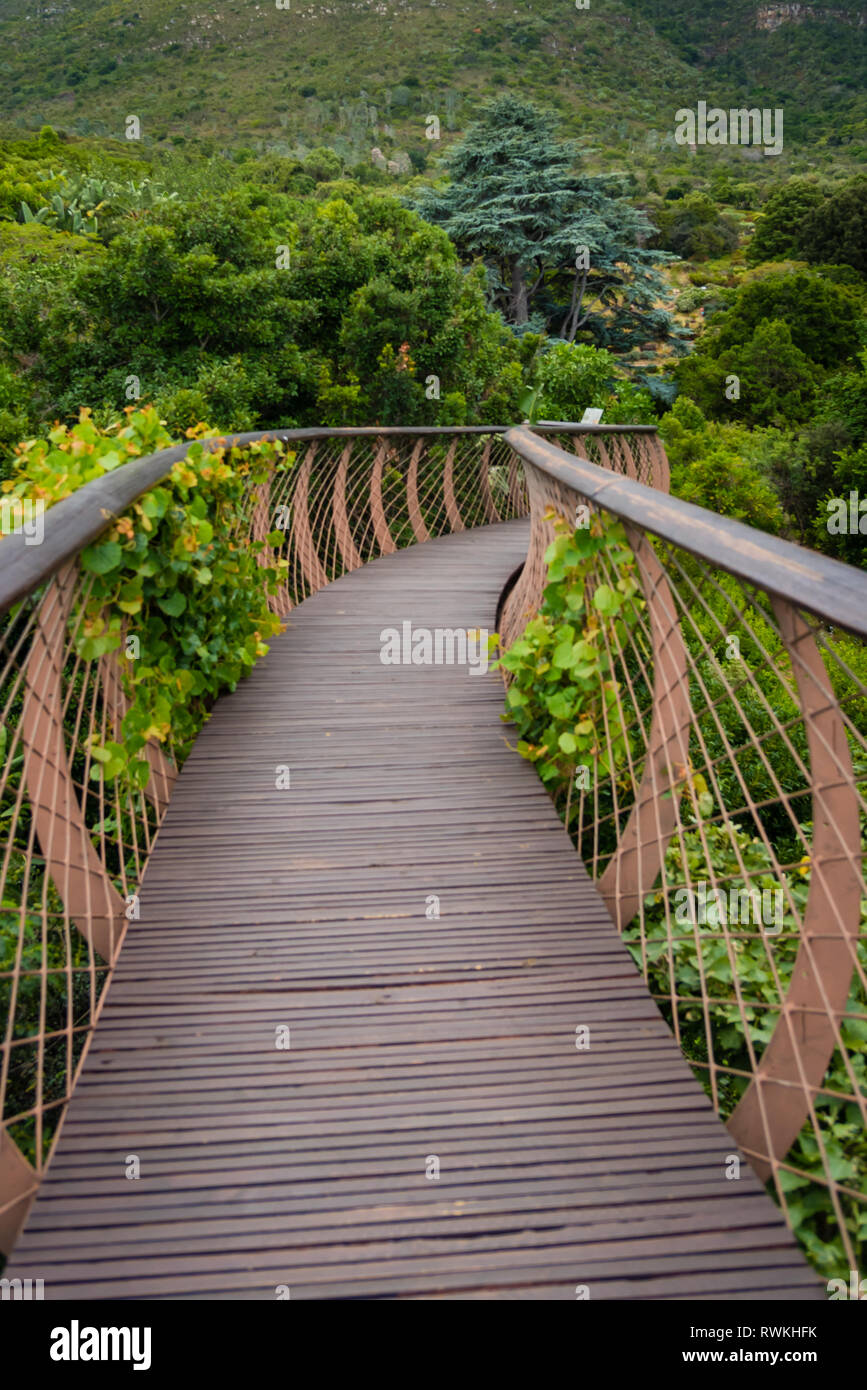 Kirstenbosch National Botanical Garden ist berühmt als einer der großen botanischen Gärten der Welt. Kapstadt, Südafrika Stockfoto
