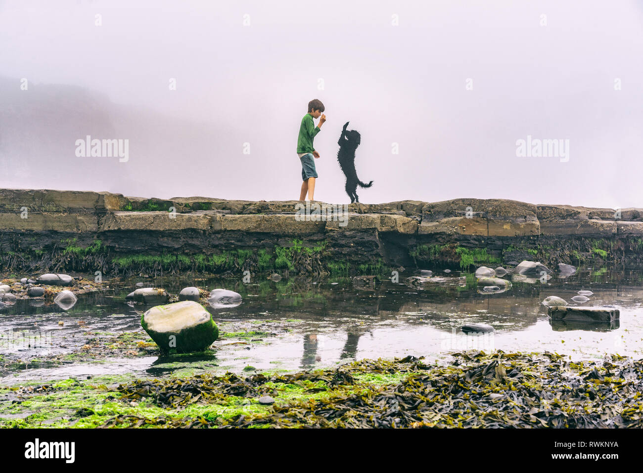 Junge und Hund am Meer genießen. Stockfoto