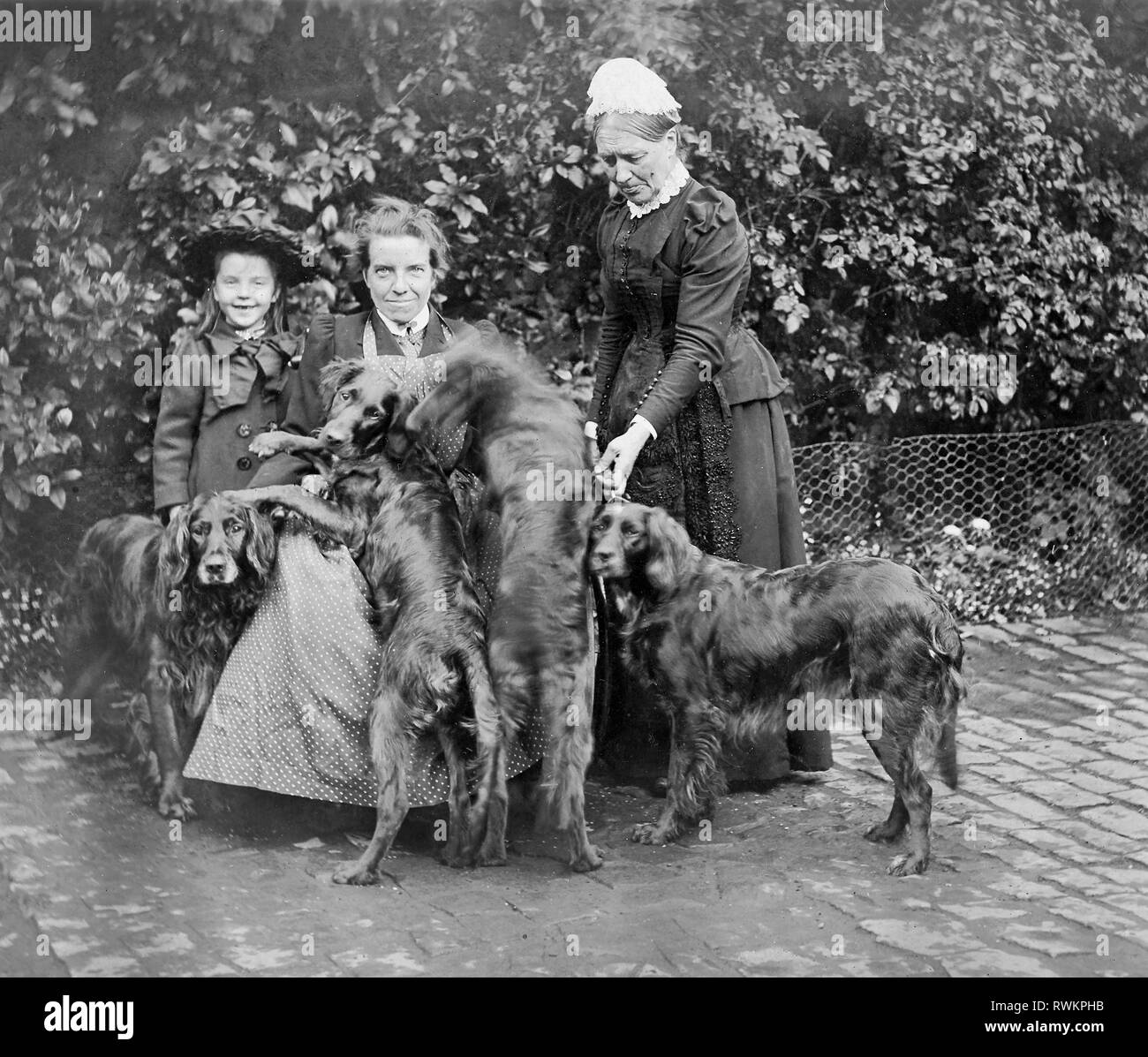 Eine Viktorianische und Edwardianische Gruppe Foto von einem jungen Mädchen, zwei weibliche Erwachsene und was aussieht wie vier Flat - Coated Retriever Hunde. Stockfoto