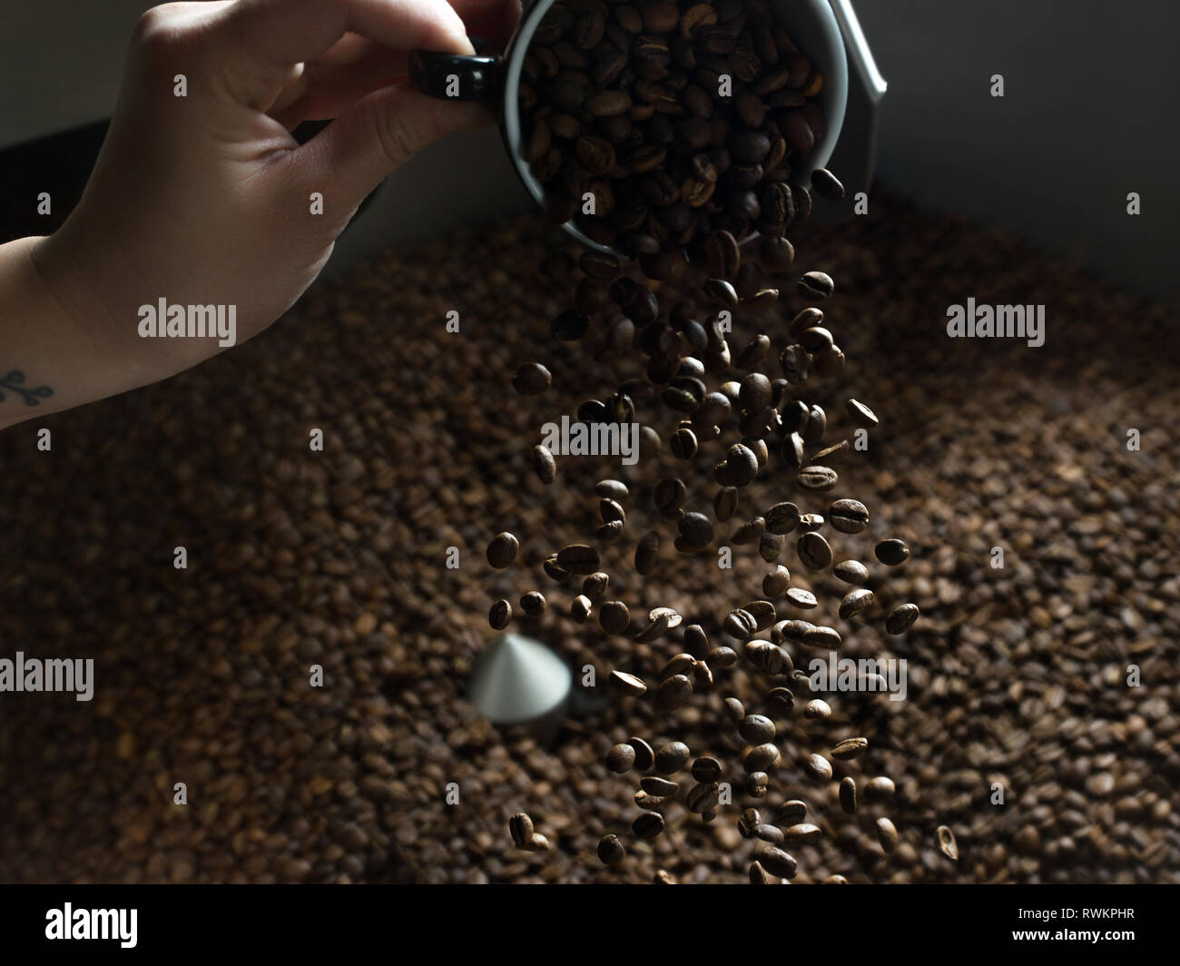 Hand gießt Kaffee Bohnen in Kaffeeröster Stockfoto