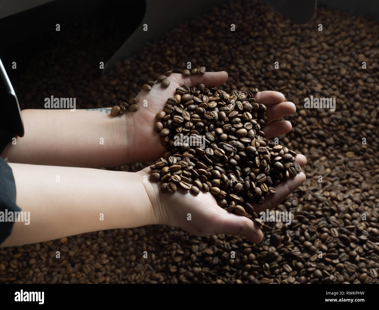 Handvoll Kaffeebohnen über kaffeeröster Stockfoto