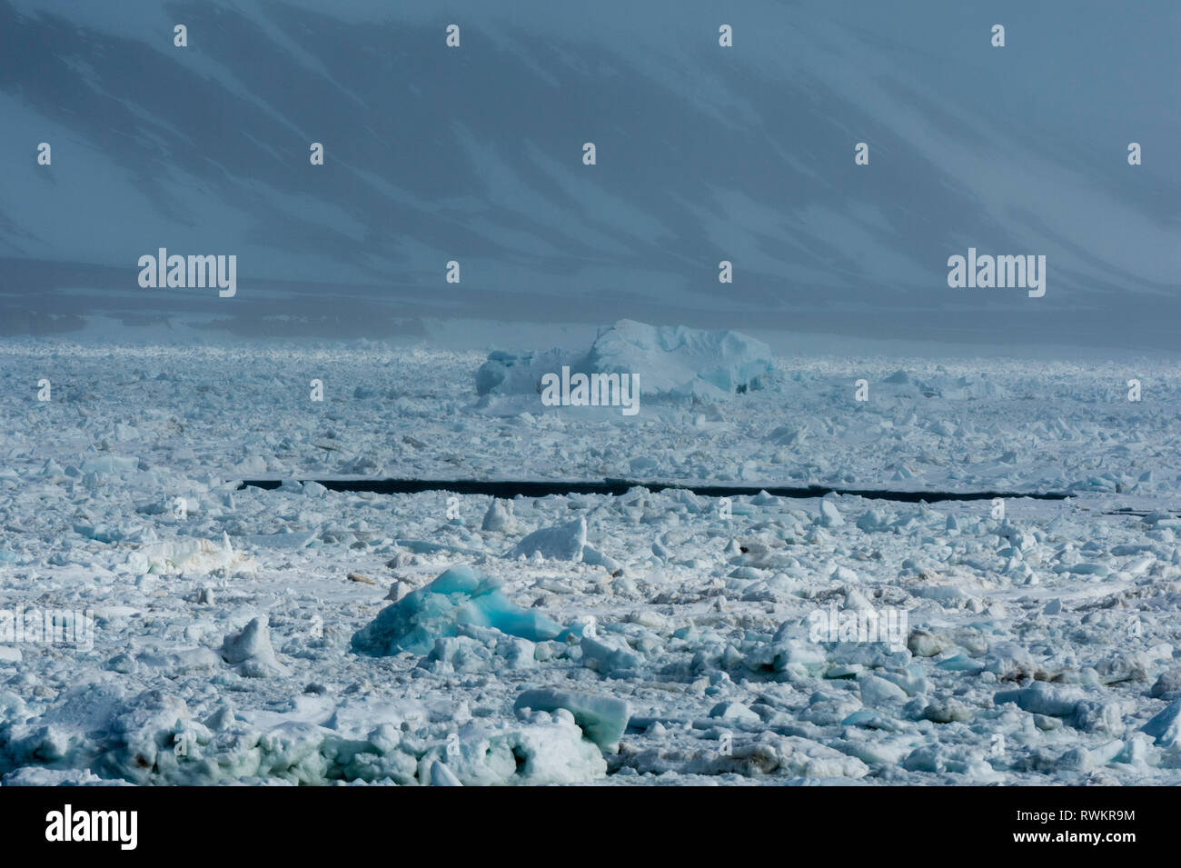 Arktis Meereis und Küsten Nebel, Wahlenberg Fjord, Nordaustlandet, Svalbard, Norwegen. Stockfoto