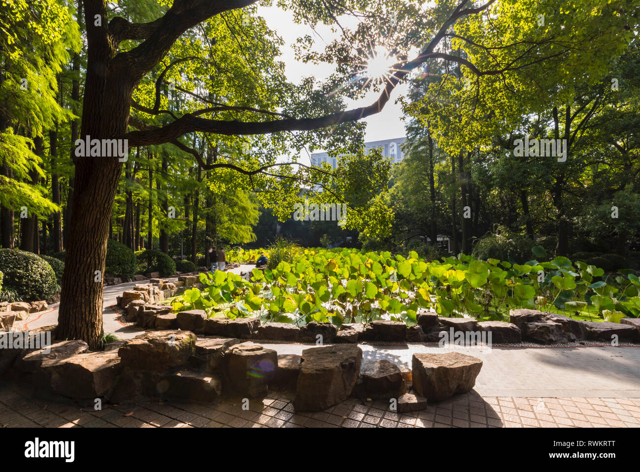 Völker Park, Shanghai, China Stockfoto