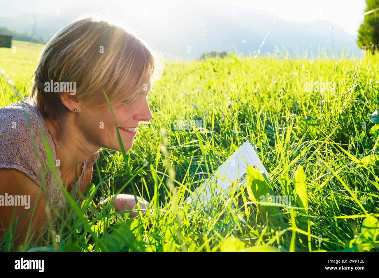 Frau liest Buch auf Gras im Hinterland, Sonthofen, Bayern, Deutschland Stockfoto