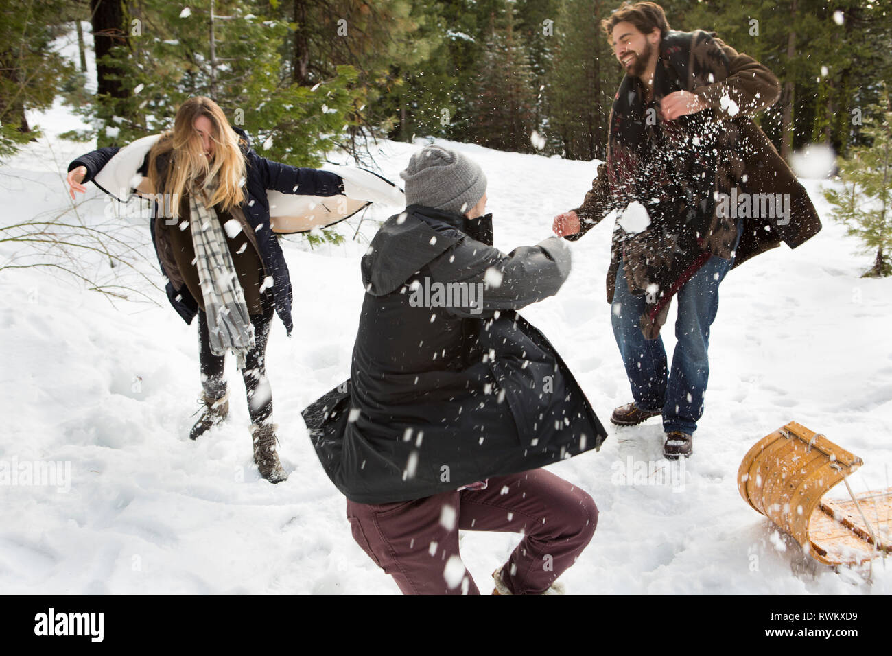 Junge Frau und Mitte der erwachsenen Männer die Schneeballschlacht im Winter Wald, Twain Harte, Kalifornien, USA Stockfoto