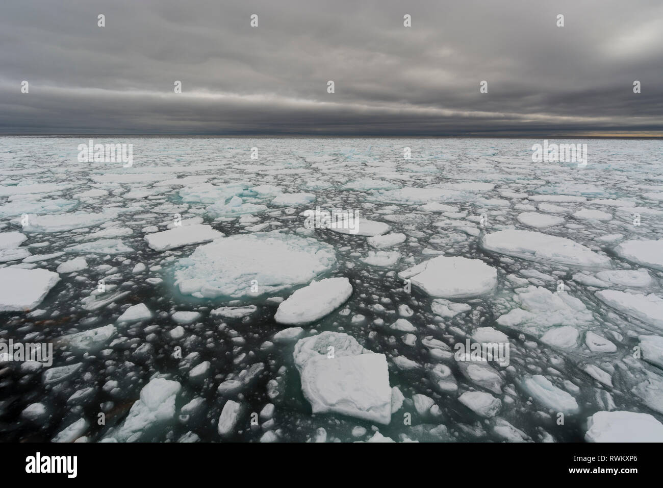 Floating Stücke von Packeis, Polar Ice Cap, 81 nördlich von Spitzbergen, Norwegen Stockfoto