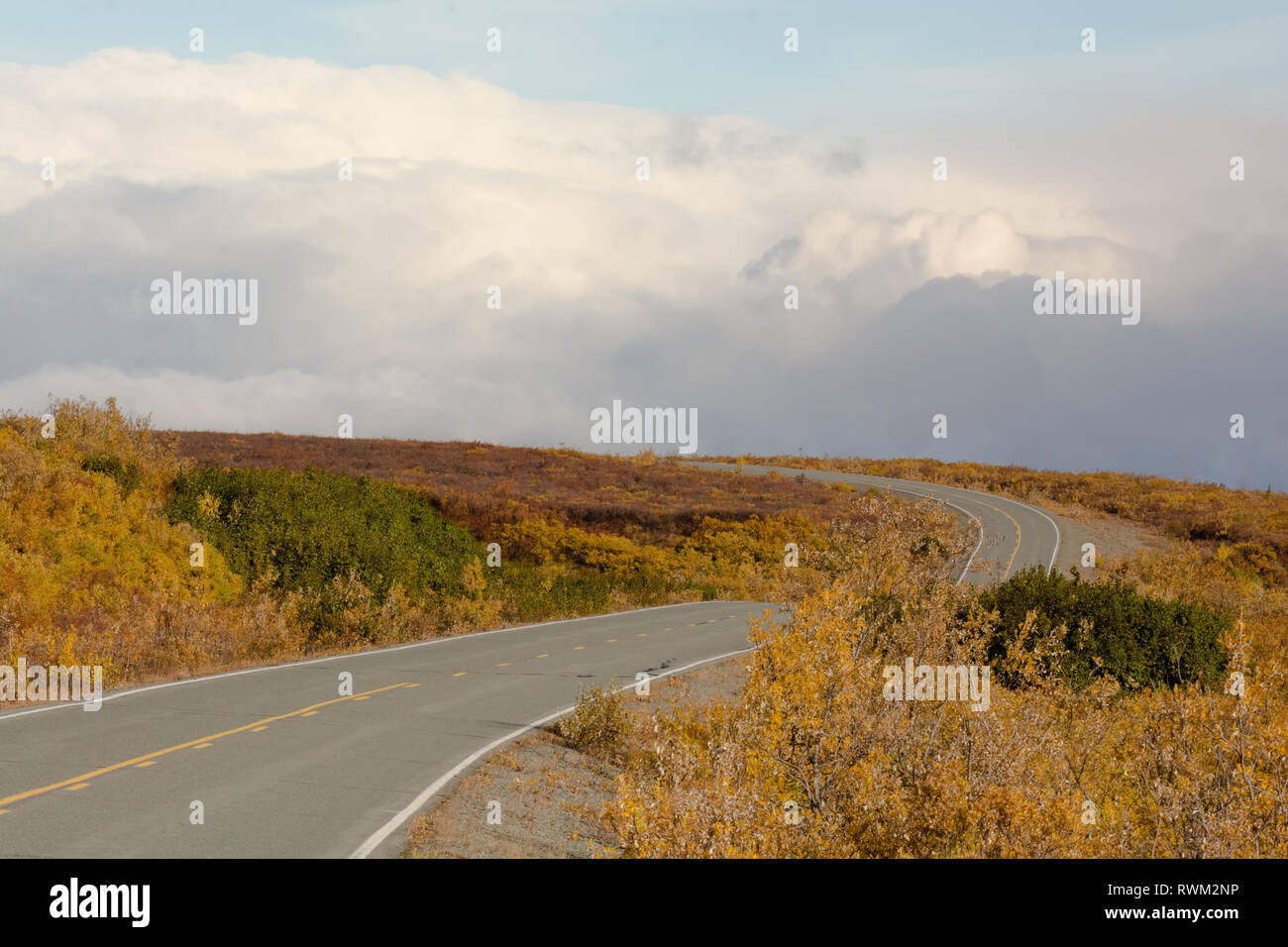 Zwei land Straße schneiden durch Alaska schrubben und verschwindet in einer Bank der Wolken Stockfoto