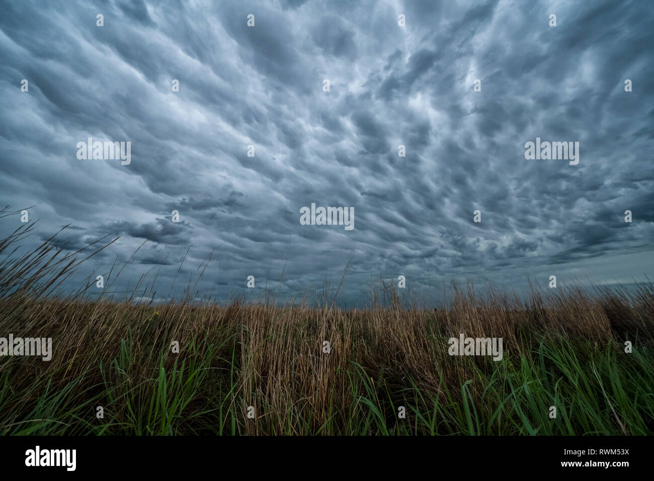 Dramatische Himmel über der Landschaft während eines Sturms jagen Tour im mittleren Westen der Vereinigten Staaten gesehen, Kansas, Vereinigte Staaten von Amerika Stockfoto