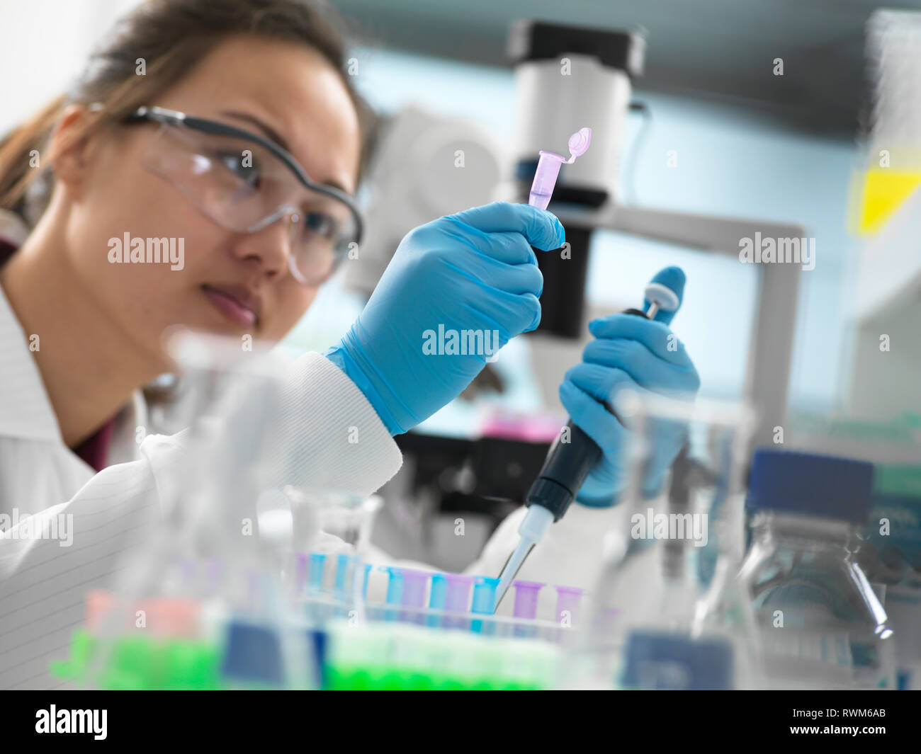 Pipettieren Wissenschaftler Probe in Durchstechflasche für genetische Tests im Labor Stockfoto
