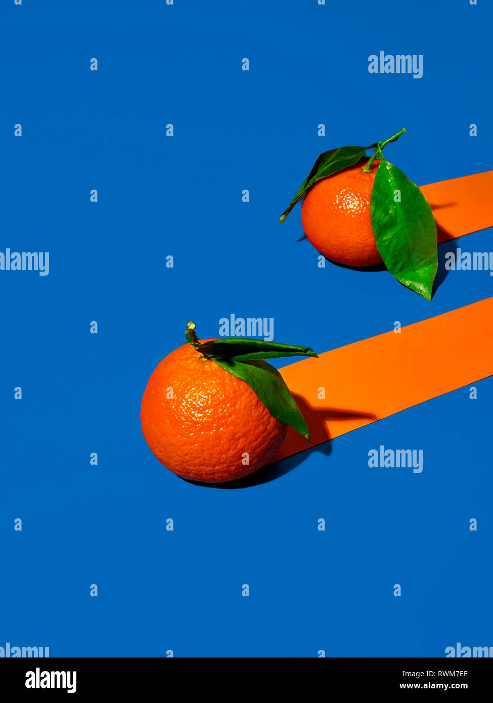 Zwei Orangen am strahlend blauen Hintergrund mit Trailing orange Streifen Stockfoto