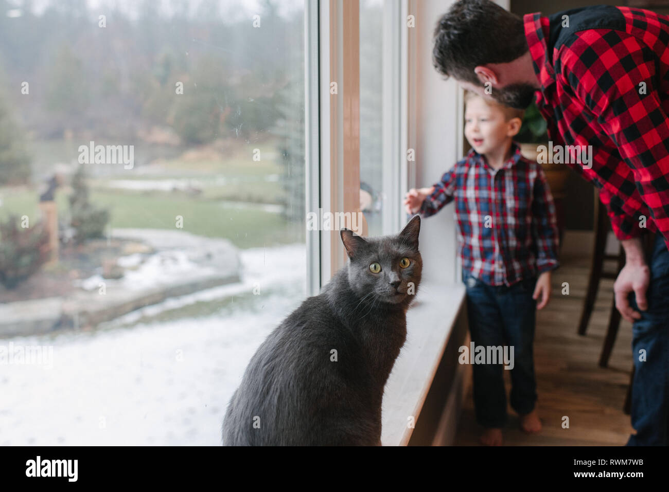 Vater und Sohn sprechen neben Fenster zu Hause Stockfoto