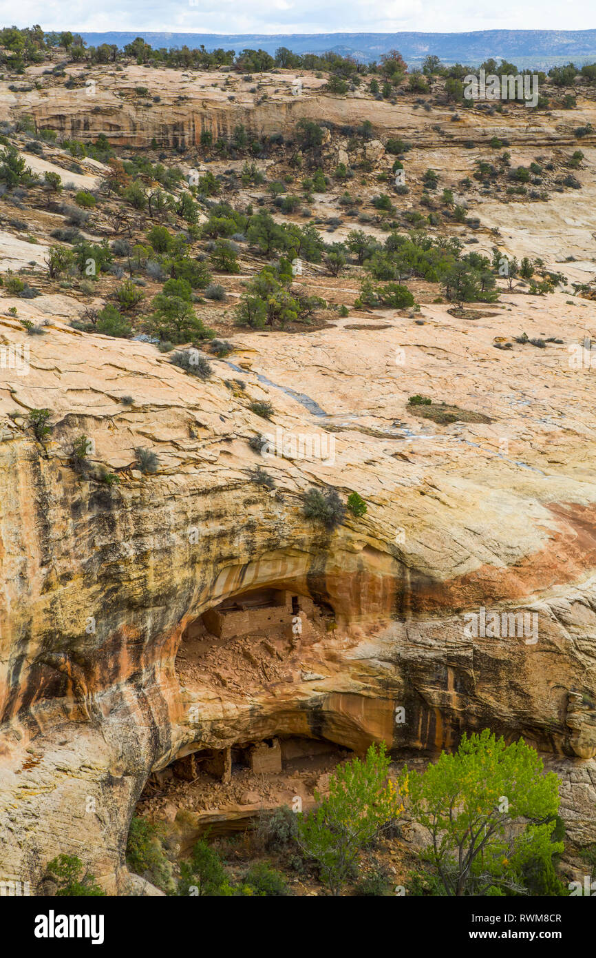 Anasazi Ruinen, Ancestral Puebloans, Bären Ohren National Monument, Utah, Vereinigte Staaten von Amerika Stockfoto