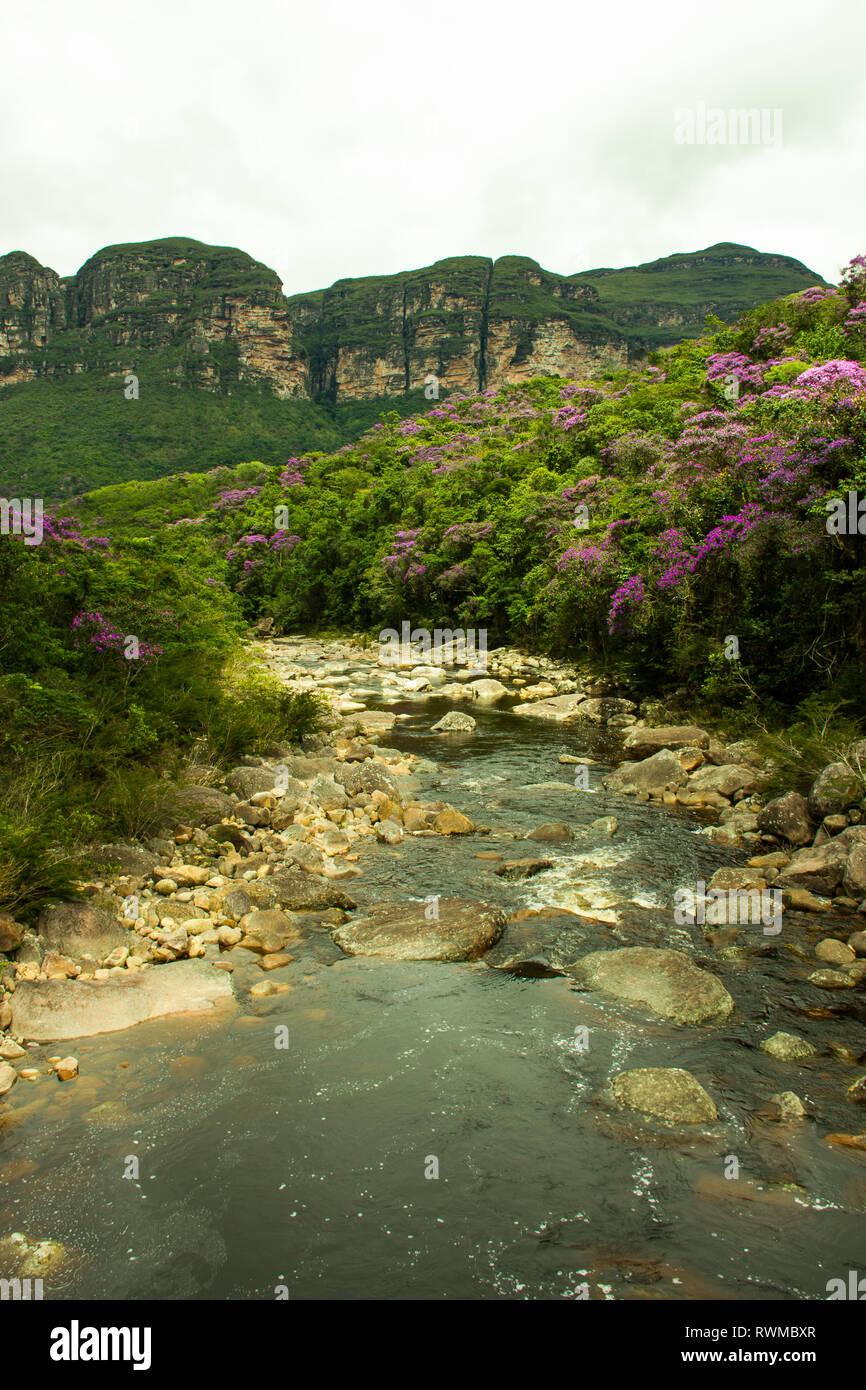 Chapada Diamantina - Schöne Fluss auf Pati Tal Stockfoto