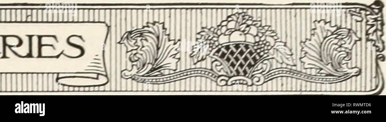 Ellwanger & Barry Mt Hoffnung Ellwanger & Barry Mt Hoffnung Baumschulen ellwangerbarrymt 1918 moun Jahr: 1918 TAOUNT^ HOFFE BAUMSCHULEN AMELANCHIER A. Botryapium. B. Eine Amerikanische Arten, bekannt als 'WildPear JuneBerrv,'', ''ServiceTree,' und 'Shatte Blasen." wächst 30 oder 40 Fuß hoch. Der fastigiate bilden. Blüten weiß, bis zum Abwinken Anfang April produziert, durch eine kleine Frucht der violetten Farbe ist es gelungen, im Juni reif und angenehm im Geschmack. Eine der feinsten sehr früh Senkung der Bäume. 3 bis 4 ft., 50 c Jeder; 10 für $ 4,00. Biflorus. Mandel A. communis Flore pleno Piccolo. Großes Doppel-FT&gt; owERED Almoxd. C. Stockfoto