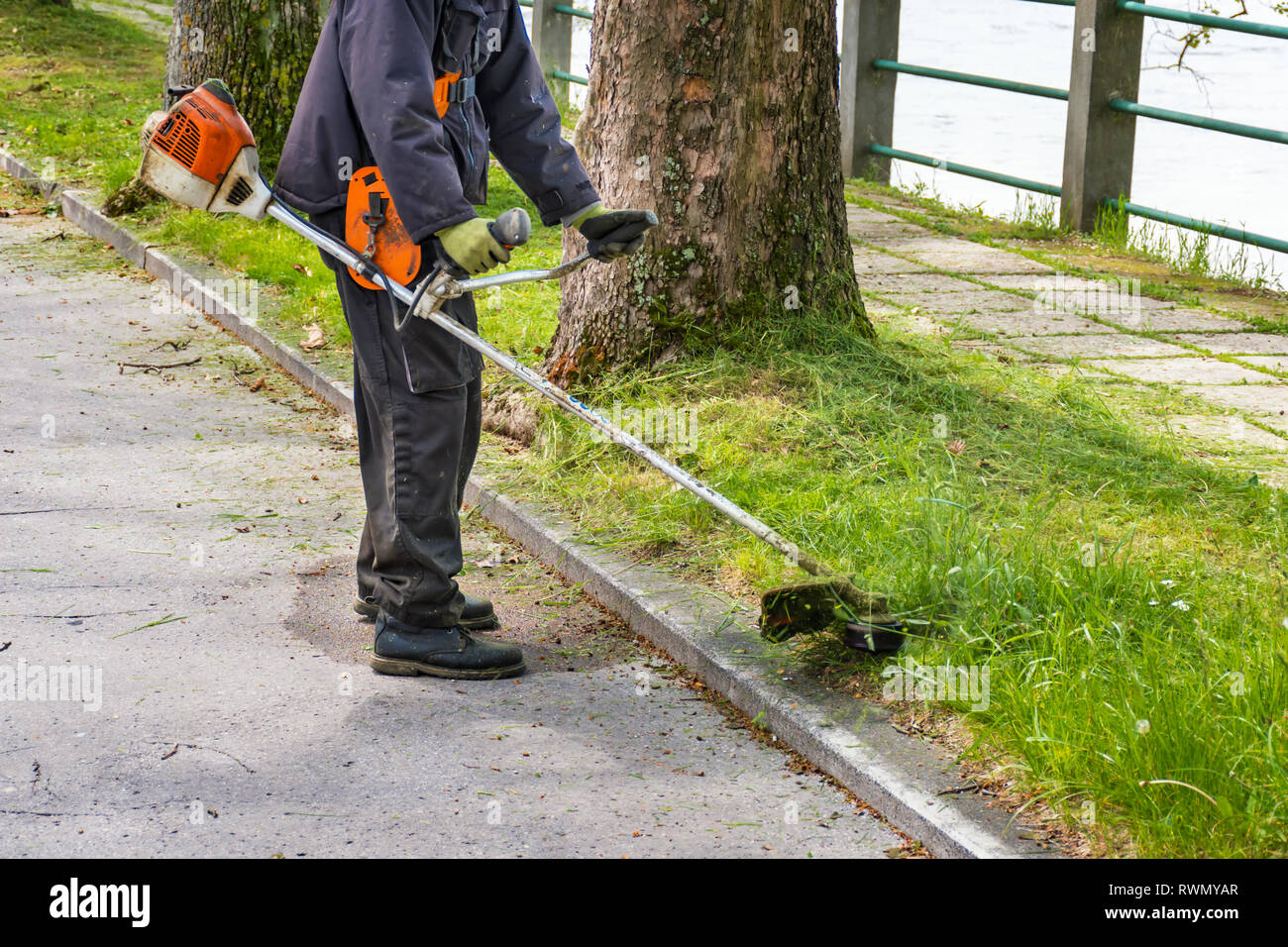 Mann mit verschlissenen Bush cutter Verkleidungen bewachsenen Rasen ringsum Bäume neben der Straße Stockfoto