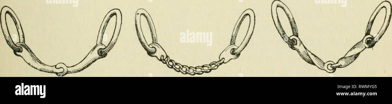 Die Enzyklopädie des stabil Die Enzyklopädie des stabil: Ein komplettes Handbuch des Pferdes, seine Rassen, Anatomie, Physiologie, Krankheiten, Zucht, Brechen, Training und Management, mit Artikeln über Kabelbaum farriery, Schlitten, etc. Bestehend aus tausend Tipps für Pferdebesitzer encyclopdiaofs 00 shaw Jahr: 1909 BITTING Zaum, um den Ring oder unteren Leiste unten, im oberen Teil aus dem Mund nach oben Auge die Wange genannt wird, und der untere, aus dem Mund an der Unterseite Bar, das Bein. Wenn der Lauf führt durch den Ring an den Ecken der Öffnung das Pferd gesagt wird getrieben' auf. Stockfoto