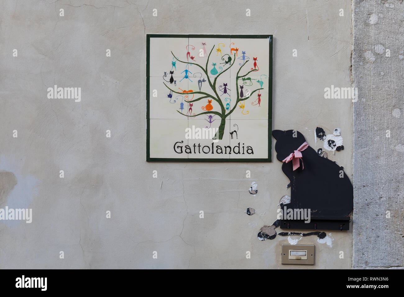 Gattolandia, Tierheim für Kranke und Verletzte Katzen in Cividale del Friuli, Friaul Julisch Venetien, Italien Stockfoto